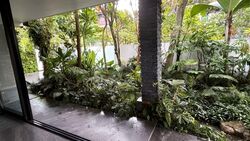 Phoenix Heights (D23), Semi-Detached #615879301